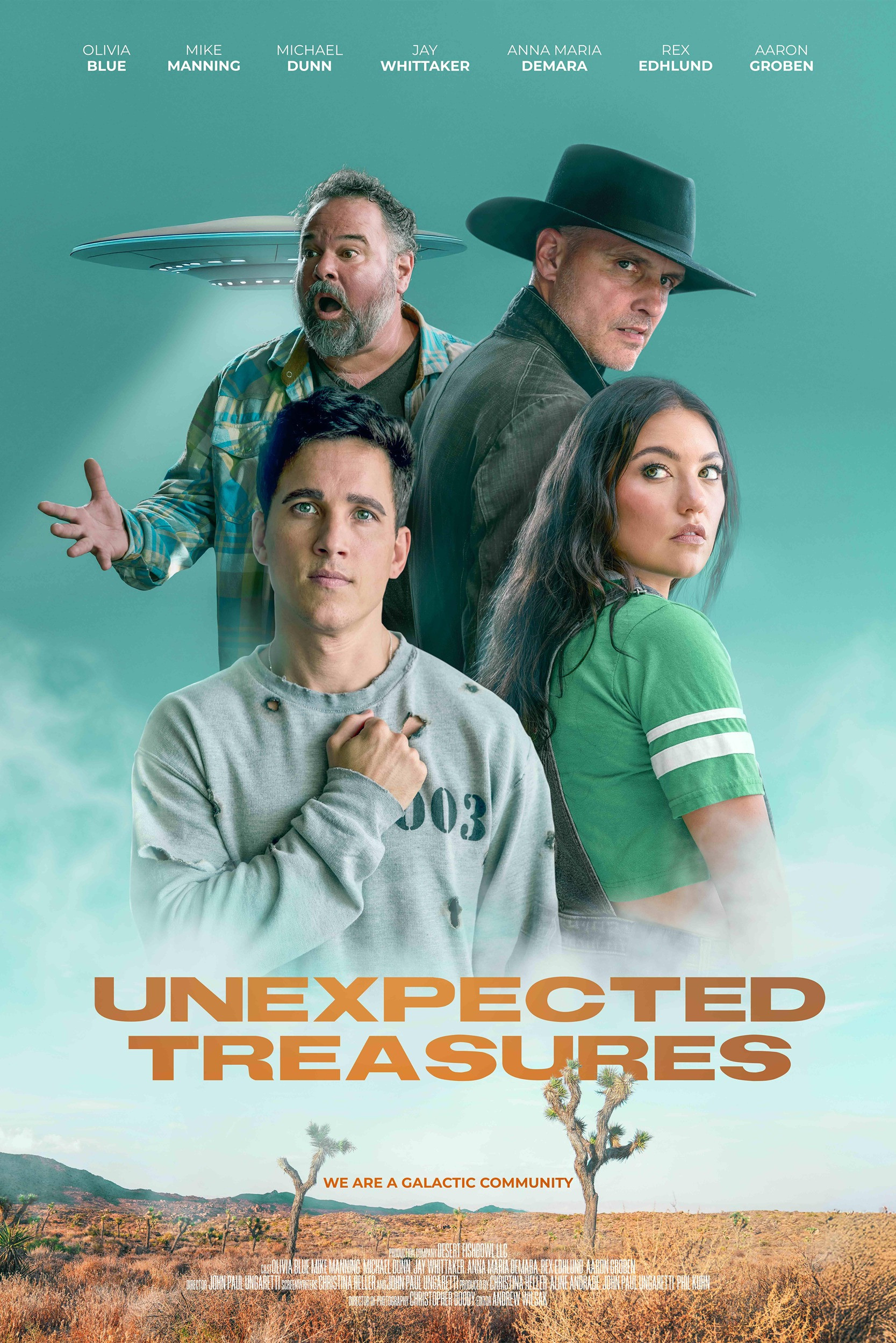 Unexpected Treasures Hindi Dubbed Movie Poster (2025)